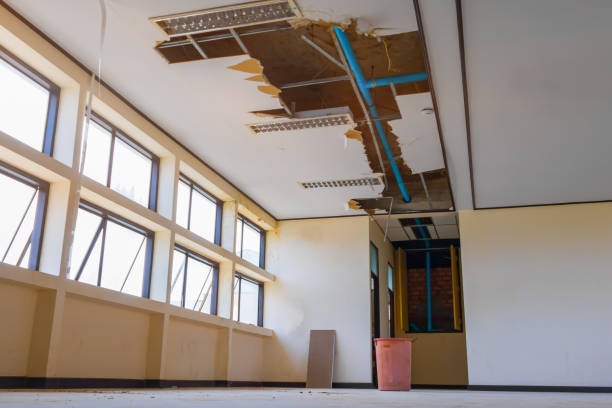 Best Residential water damage restoration  in Leon, IA