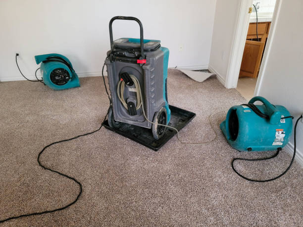 Best 24-hour water damage restoration  in Leon, IA