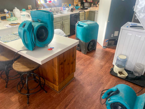 Best Emergency water damage restoration  in Leon, IA