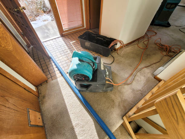 Best 24-hour water damage restoration  in Leon, IA