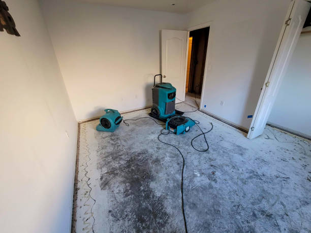 Best Emergency water damage restoration  in Leon, IA