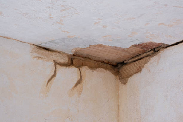 Best Flood restoration services  in Leon, IA