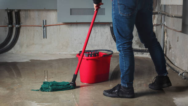 Best Commercial water damage restoration  in Leon, IA