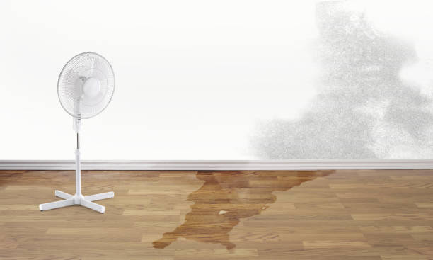 Best Water damage restoration services  in Leon, IA