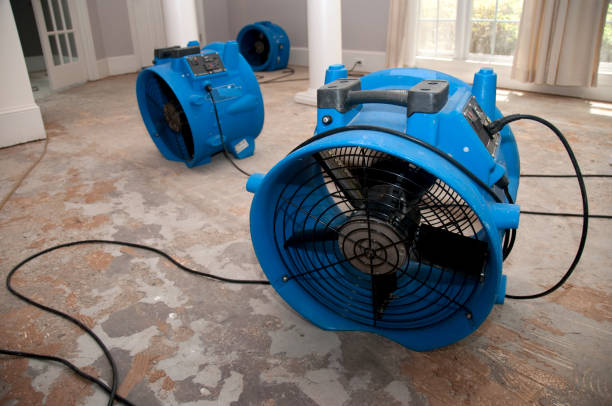 Best Sewage cleanup and water damage restoration  in Leon, IA