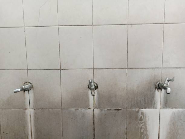 Best Basement water damage restoration  in Leon, IA