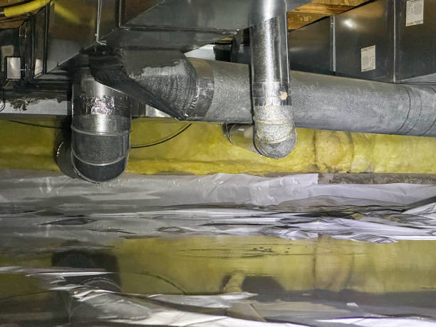 Best 24/7 water damage repair  in Leon, IA