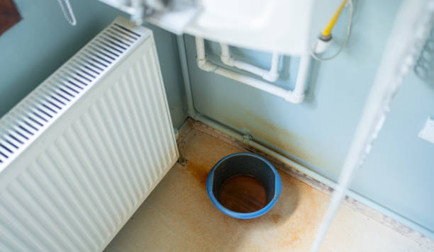 Best Local water damage restoration  in Leon, IA