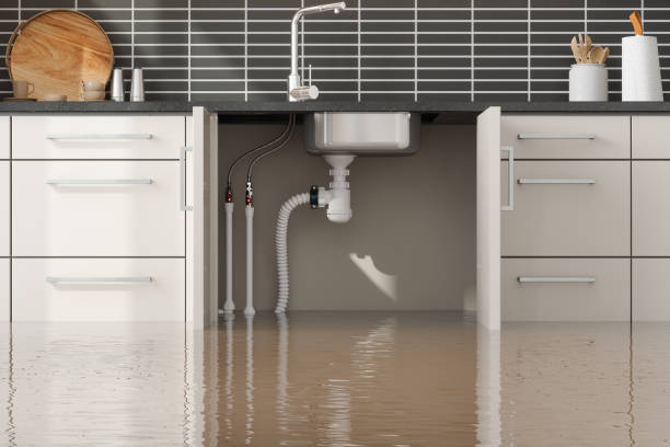 Best Emergency water damage restoration  in Leon, IA
