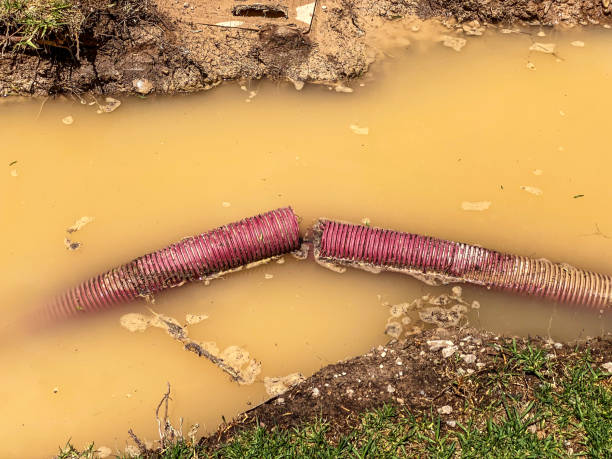 Best Flood damage cleanup  in Leon, IA