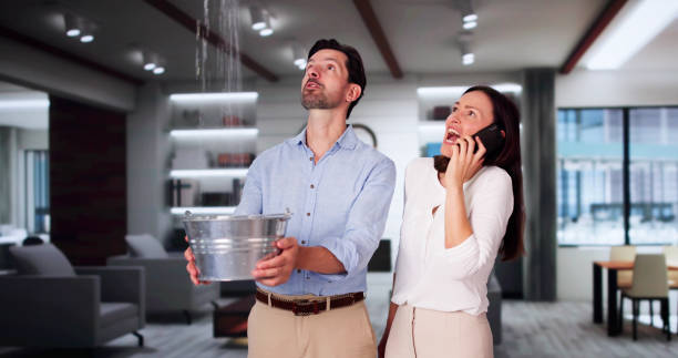Best Carpet water damage restoration  in Leon, IA
