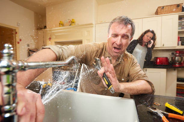 Best Professional water damage repair  in Leon, IA